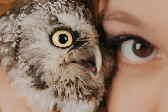 Tusk Casino Ondersteuning